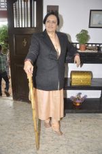 Dolly Ahluwalia at Baajatey Raho stars on location of Chidiya Ghar in Filmcity, Mumbai on 22nd July 2013 (36).JPG